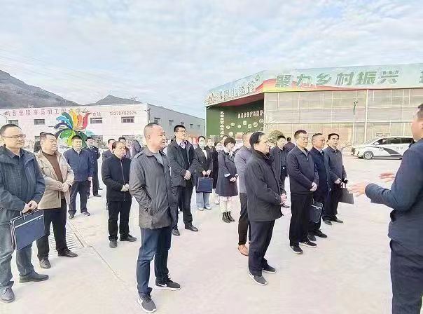 08491088203295947_26.jpg 08491088203295947_26.jpg