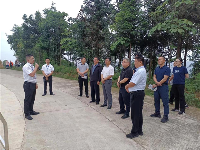 17302629211557864_24.png 17302629211557864_24.png