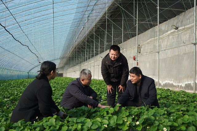 风采 | 热土铸剑 铁纪护航 记山东省“铁纪护航”先进集体、
